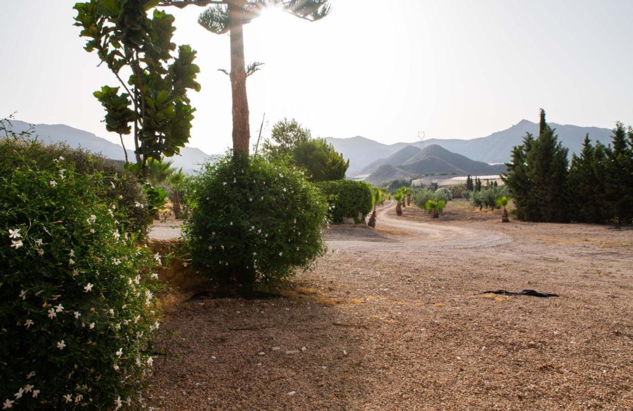 Complejo Rural Los Llanos ماثارّون المظهر الخارجي الصورة
